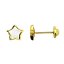 Pendientes de oro 18k estrella con nacar y rosca